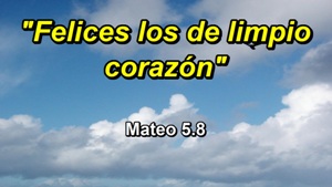 Los limpios de coraz�n